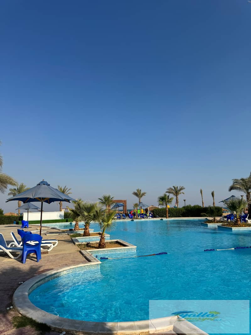 6 tempImageN41Nog. jpg