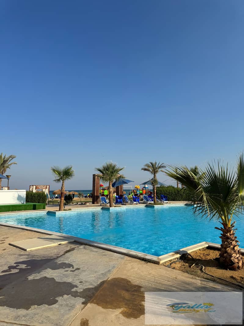 8 tempImageQwwJhi. jpg