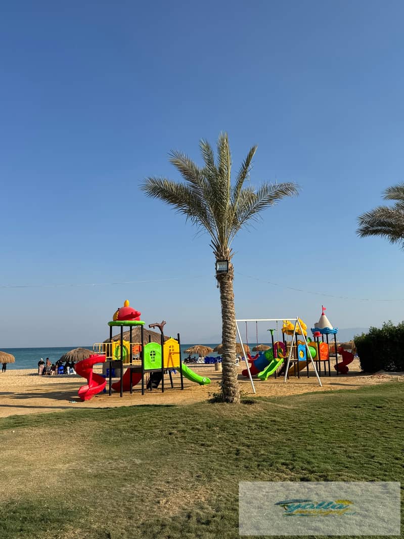 12 tempImageAckENq. jpg