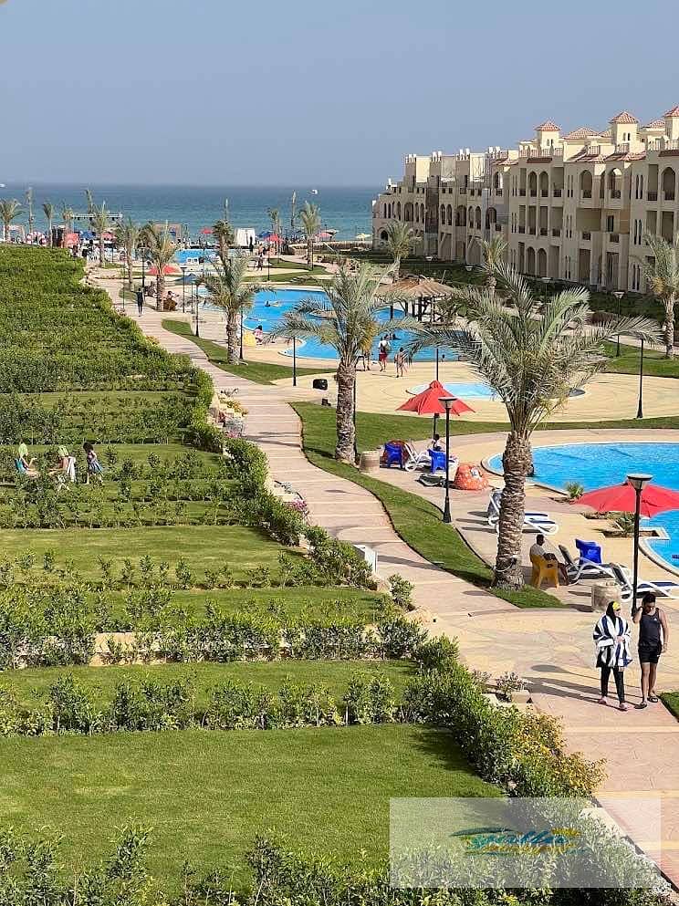 13 69024d1366799_69024d1366521-2. jpeg