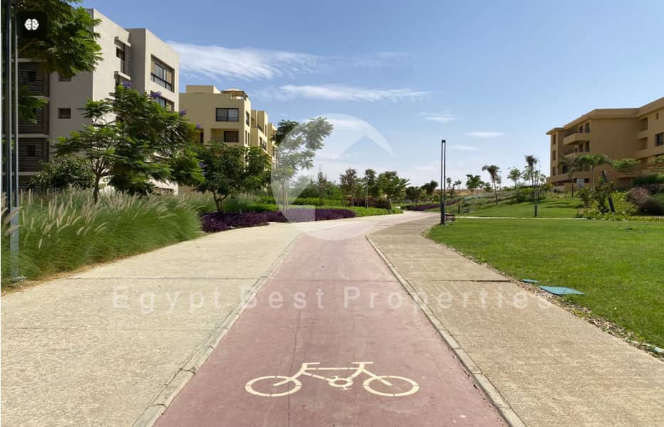 Screenshot 2024-09-15 132008. png Screenshot 2024-09-15 132008. png