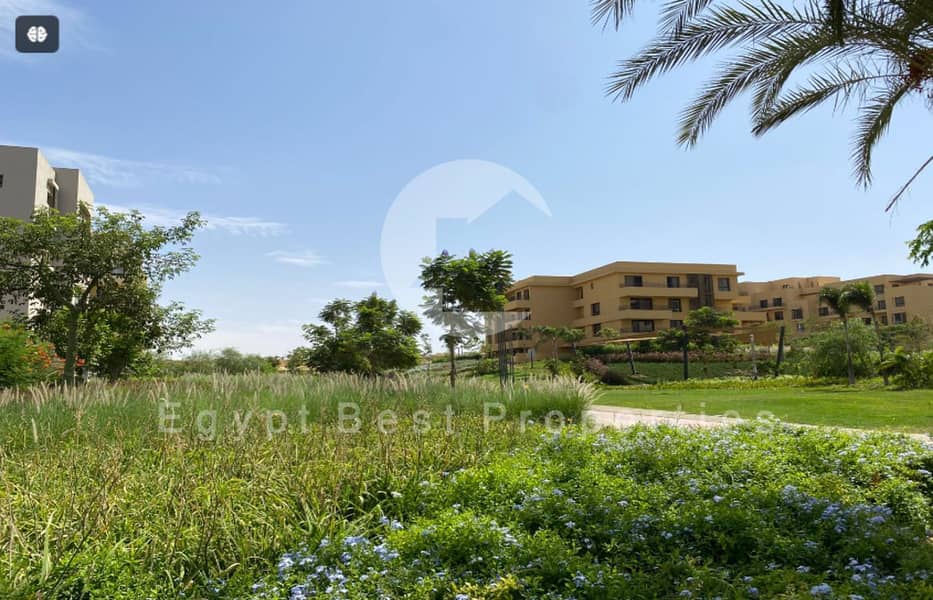 2 Screenshot 2024-09-15 132026. png