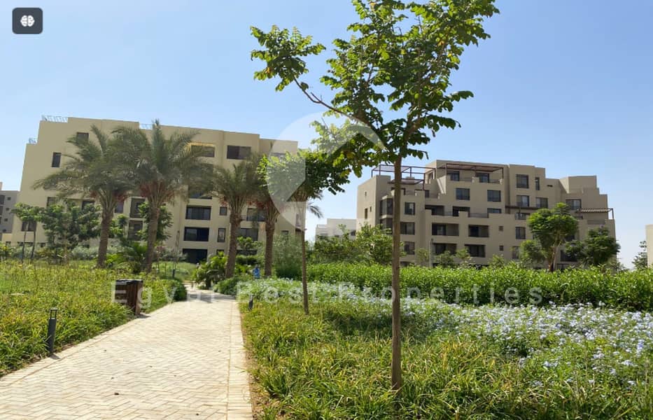 3 Screenshot 2024-09-15 132036. png