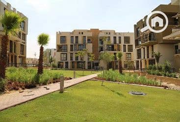 7 r5isI9PyreGnAK1O_thumb. jpg