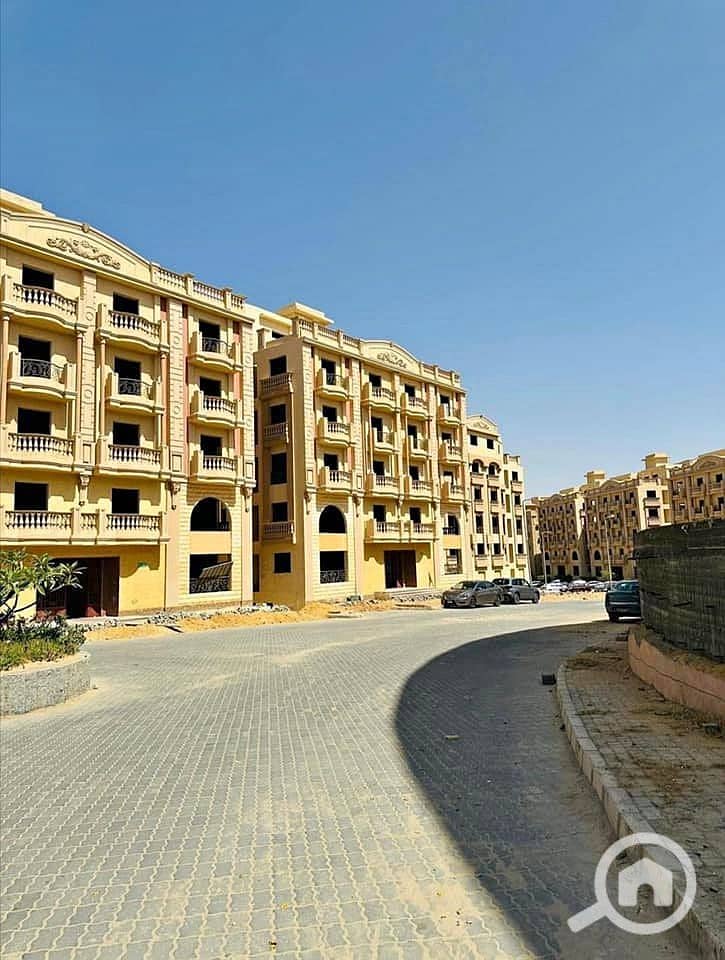 8 461598702_555170723836678_1457908629058440920_n. jpg