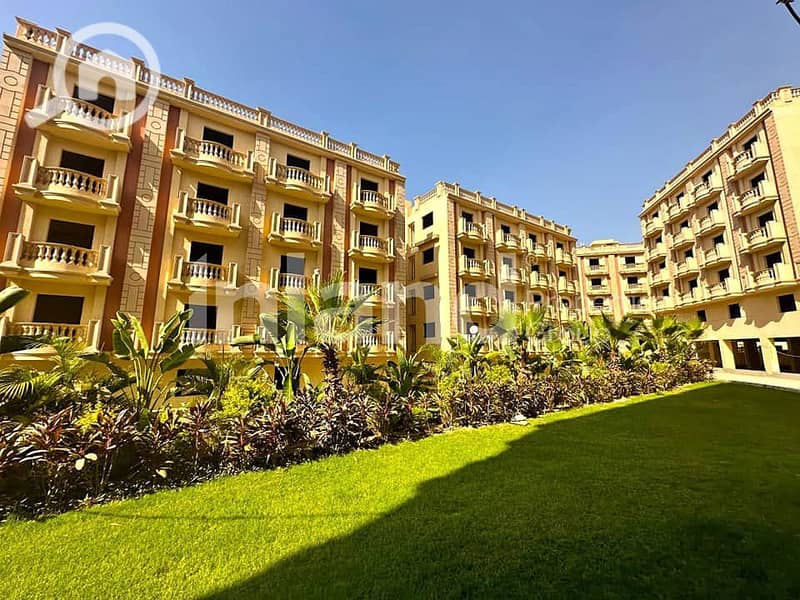 8 463609819_122178015092046136_9107101757814067662_n. jpg