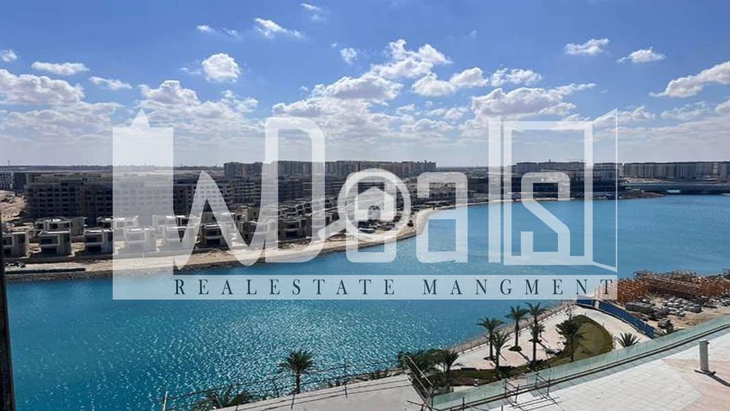 3 6664837-d63fbo. jpg