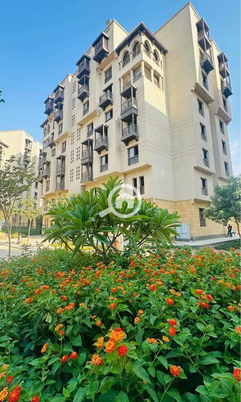 7 86ff5d46-a175-455e-b335-836334cd1cf0. jpg