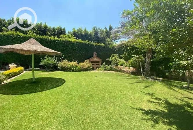 2 b17b5e08-e222-4517-9e9a-fda123395029. jpeg