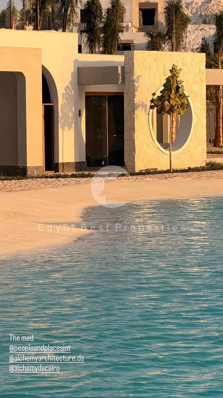 12 THE MAD (13). jpeg