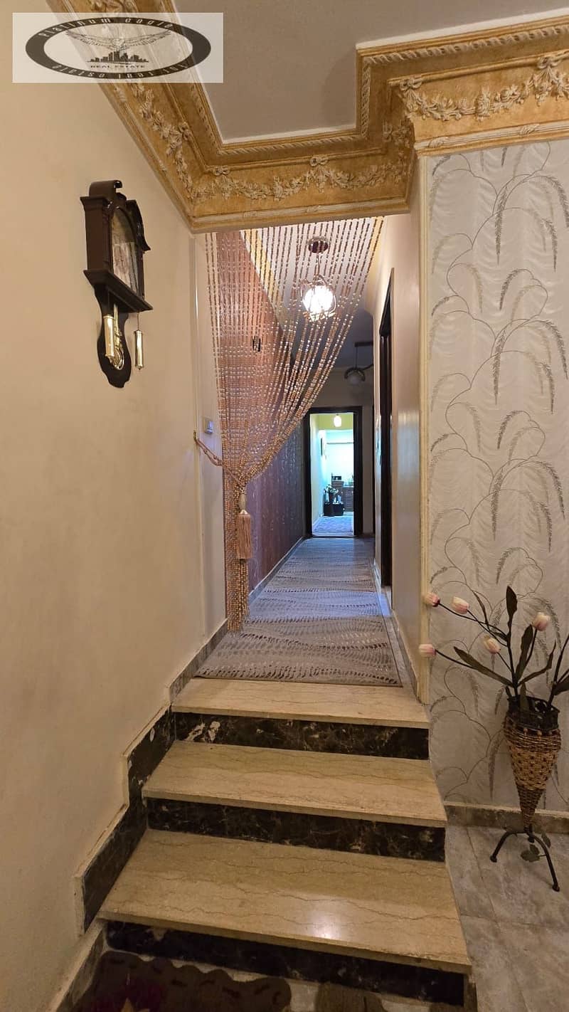 11 78cd33d8-e7fc-4484-a6d3-1f4ea4a0ae38. jpg