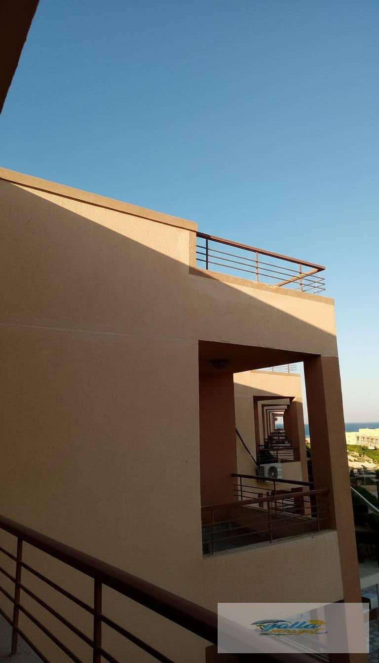 Unknown-33. jpg Unknown-33. jpg