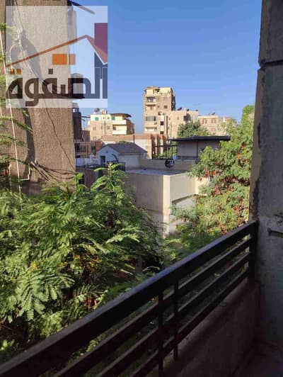 3 Bedroom Flat for Rent in Maadi, Cairo - 1000061965. jpg 3 Bedroom Flat for Rent in Maadi, Cairo - 1000061965. jpg