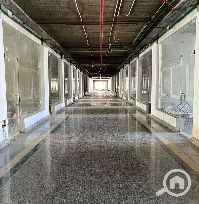 7 Generated Image September 15, 2025 - 2_26PM. png