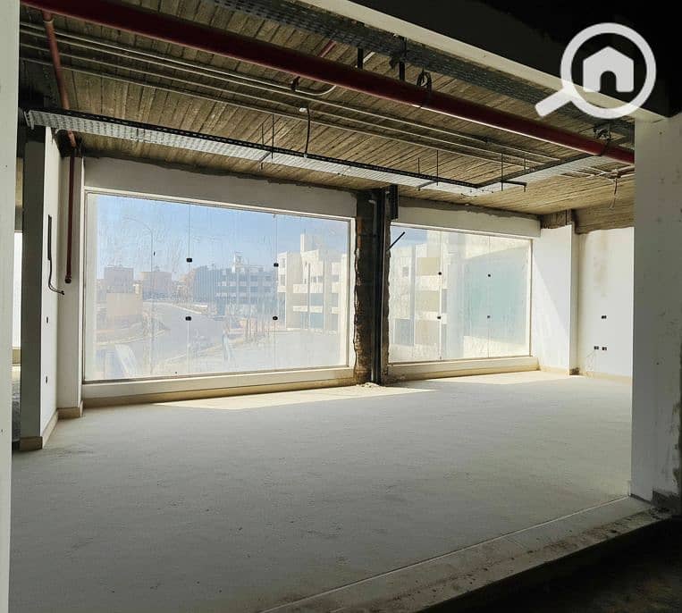 8 Generated Image September 16, 2025 - 2_08PM. png