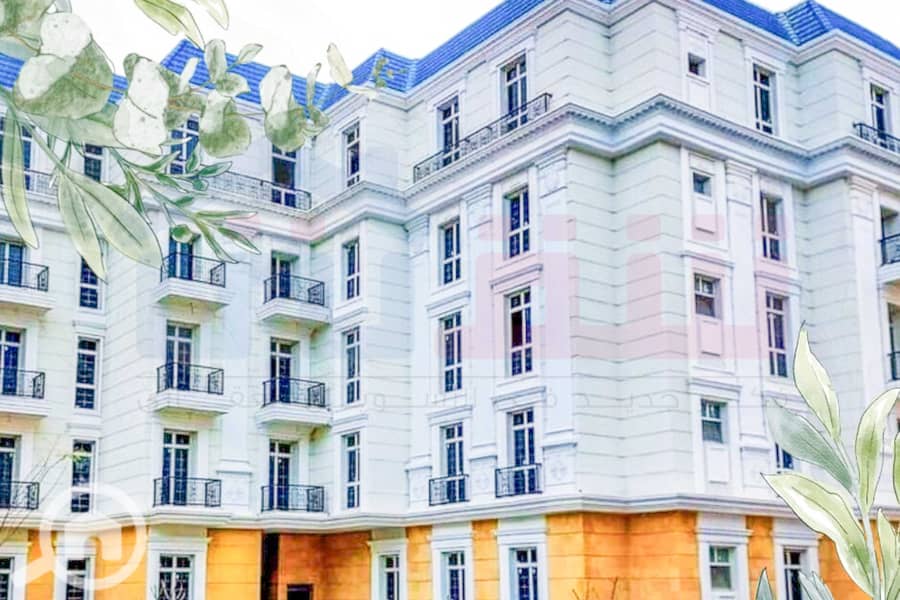 3 WhatsApp Image 2024-12-05 at 10.05. 08 AM. jpg