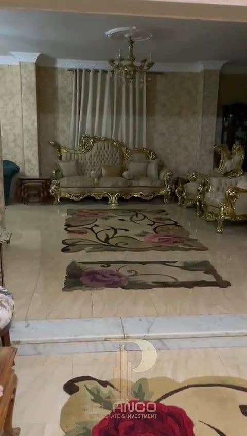 3 frame_0_19_11f. jpeg