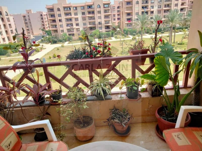 6 IMG-20251020-WA0120. jpg