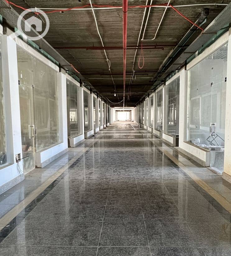 7 Generated Image September 15, 2025 - 2_26PM. png