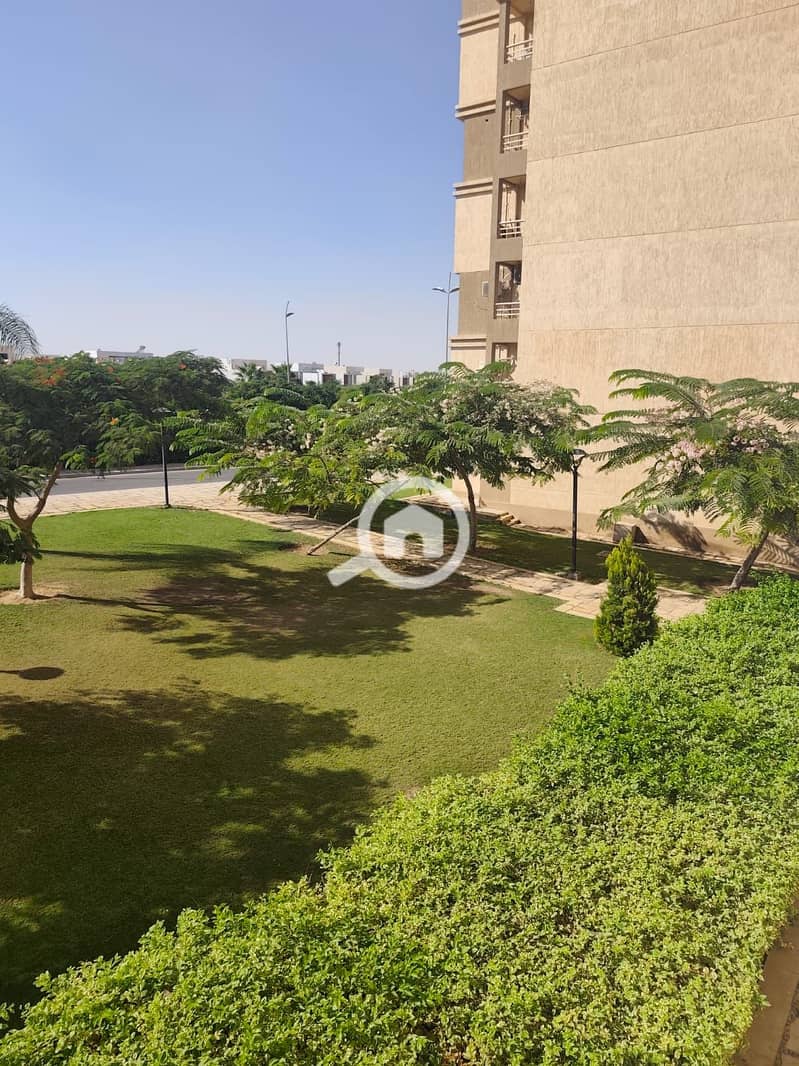 10 9e391800-775a-429a-9f33-b664b80055a4. jpg