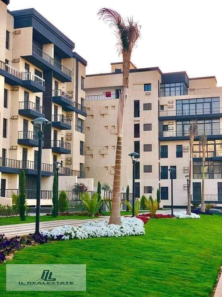 13 530276879_785927463992718_2256759421885045392_n. jpg