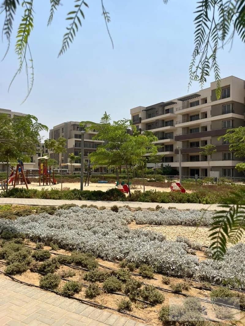 11 WhatsApp Image 2024-10-13 at 2.23. 38 PM (1). jpeg