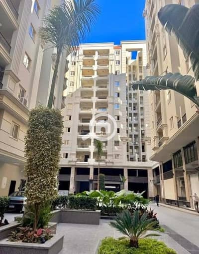 2 Bedroom Flat for Sale in Smoha, Alexandria - IMG-20251030-WA0017. jpg