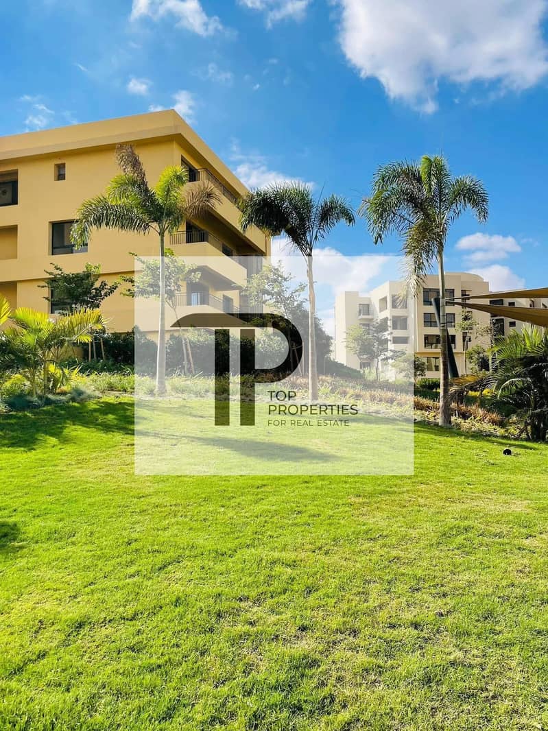 4 571018983_1345838640551359_1150997835905326516_n. jpg