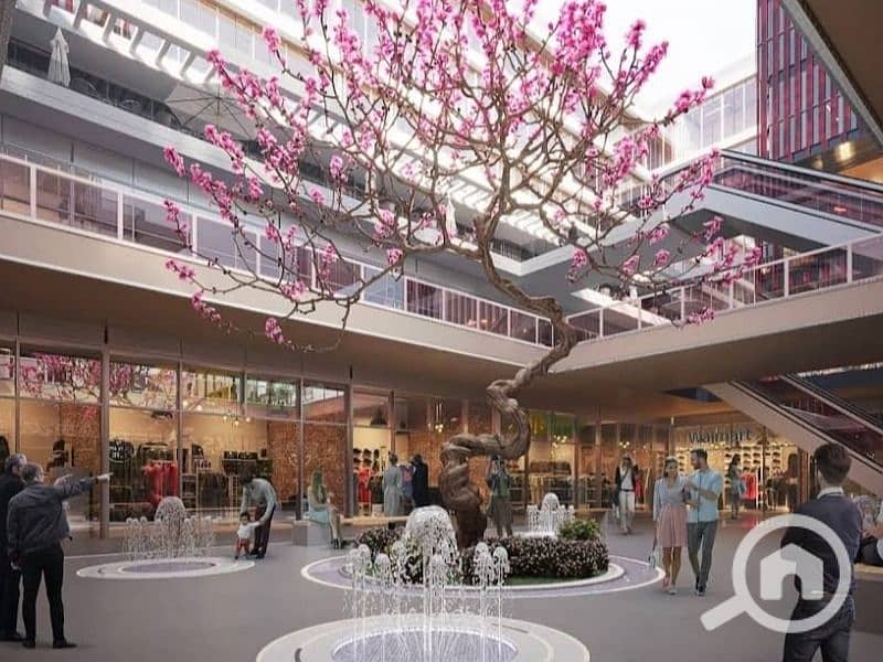 4 WhatsApp Image 2024-02-12 at 3.40. 01 PM (1). jpeg