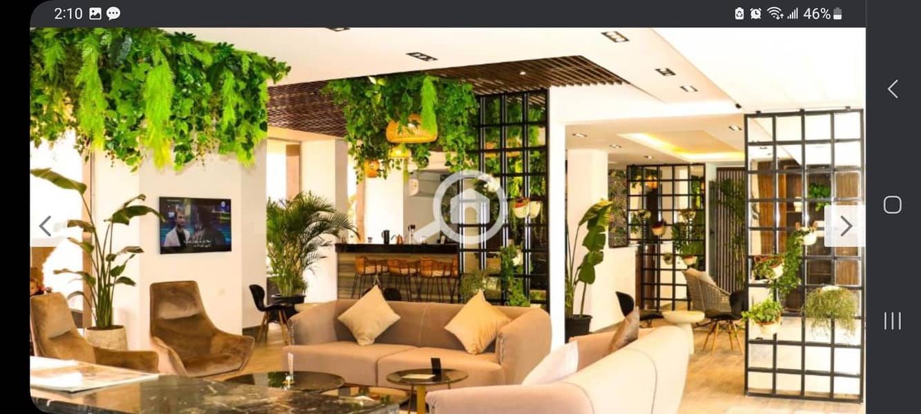 11 de8b9721-007b-495d-9d1f-dec7141d26ec. jpg