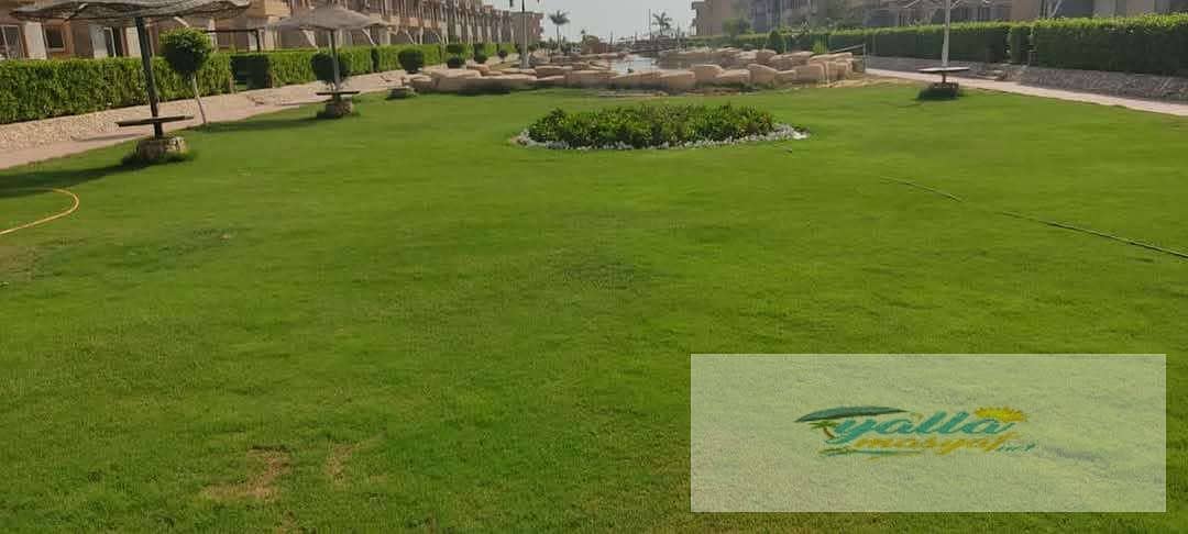 18 690242e157c72_uploads690242e157aff. jpeg