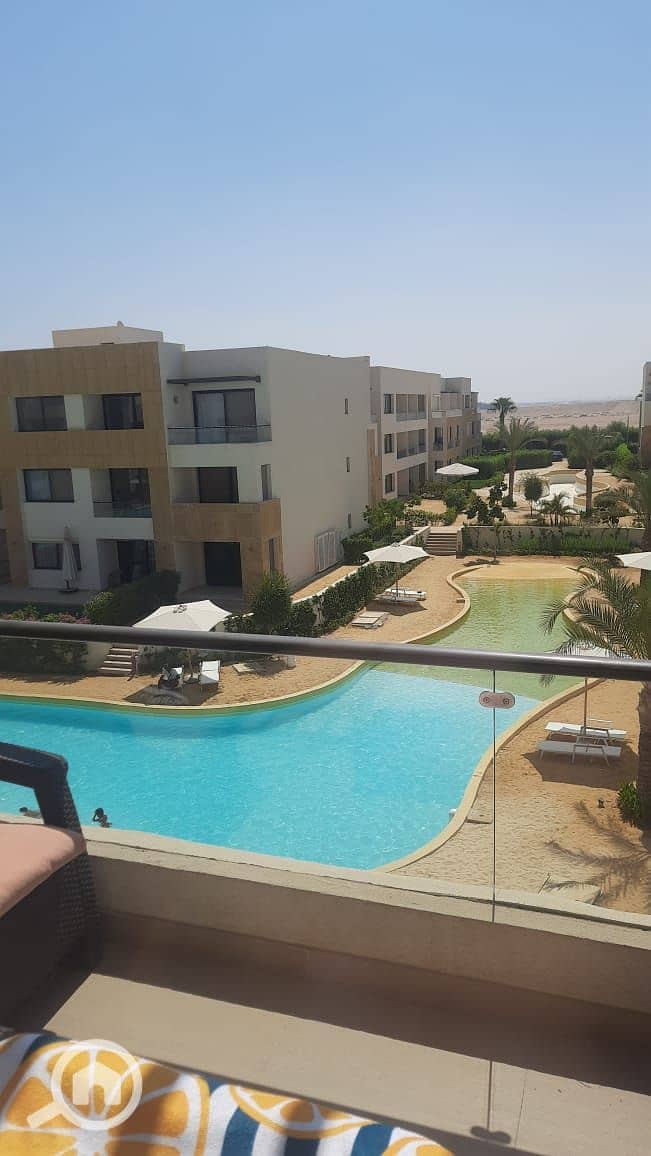 4 WhatsApp Image 2025-10-26 at 16.07. 34_d33aff85. jpg