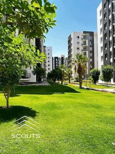 3 Bedroom Apartment for Sale in New Capital City, Cairo - WhatsApp Image 2024-11-07 at 17.39. 25. jpeg 3 Bedroom Apartment for Sale in New Capital City, Cairo - WhatsApp Image 2024-11-07 at 17.39. 25. jpeg