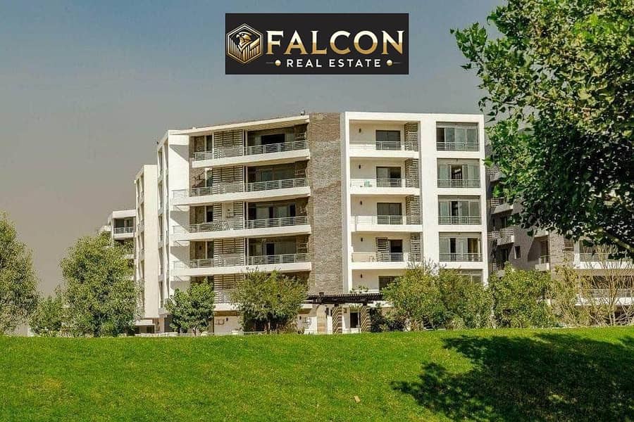 7 544809845_1115696667328271_810908866246564365_n. jpg