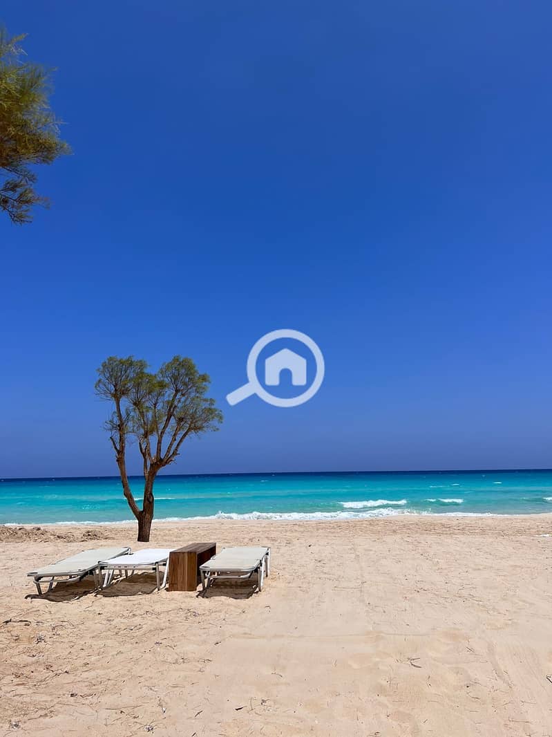 8 d71d68d2-7ff6-4851-9755-7bb1a500a061. jpg