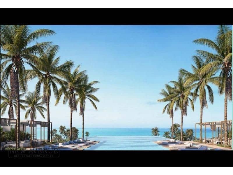 3 238b212d-b4fc-4e4e-bbd4-c8089551c6dd. jfif. jpg