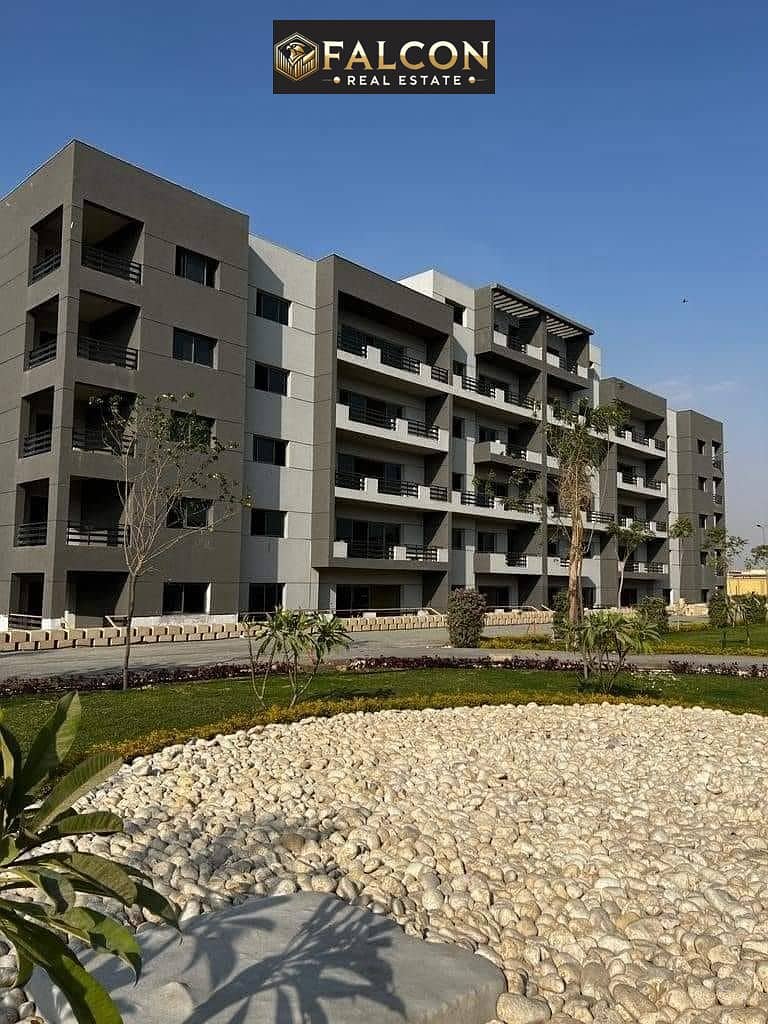 6 WhatsApp Image 2025-09-06 at 17.19. 06. jpeg