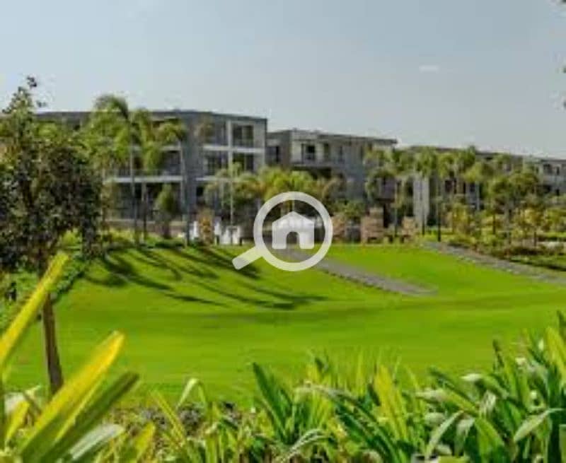 9 images (3). jfif. jpg