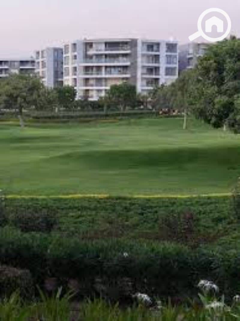 10 images (4). jfif. jpg