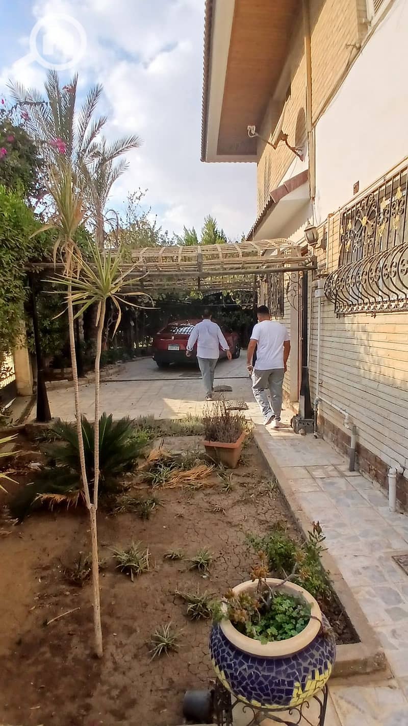 5 20251011_161523. jpg