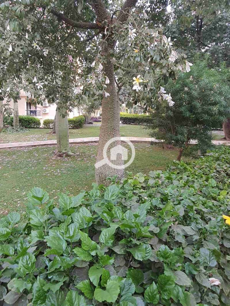 5 IMG-20251027-WA0055. jpg