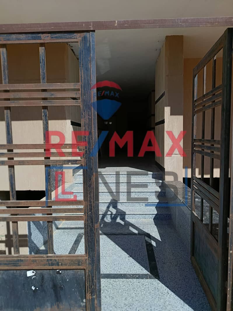 6 IMG_20251025_112619. jpg