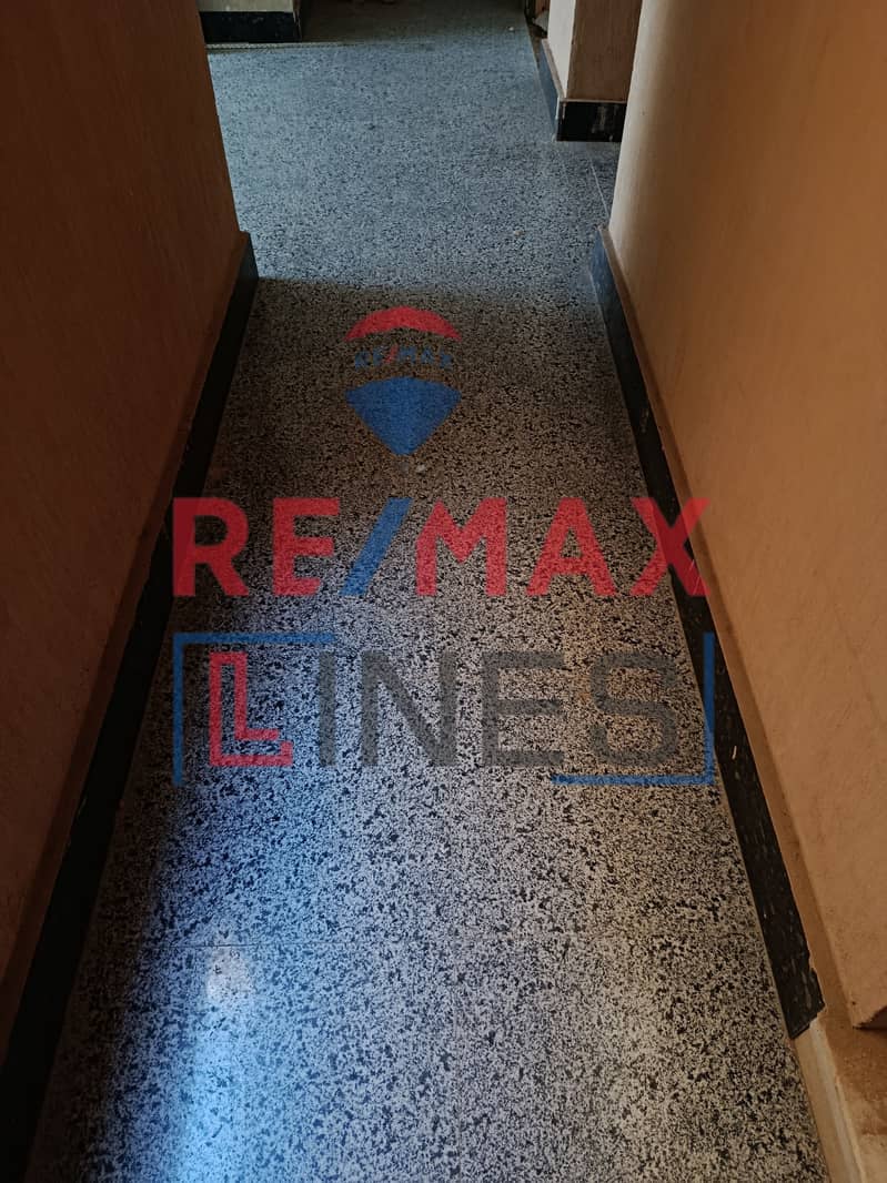 19 IMG_20251025_113419. jpg