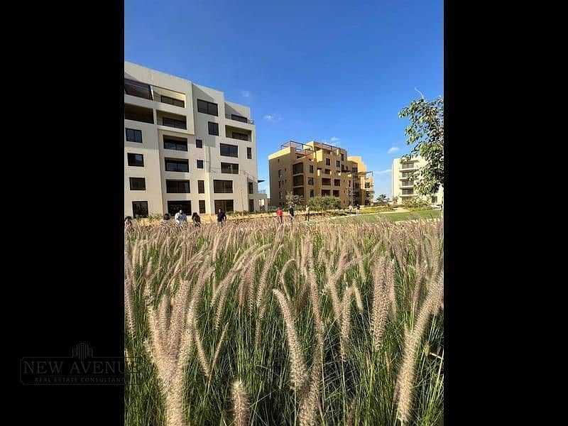 3 212b538d-8060-439b-96c8-9c82c61d4c0c. png