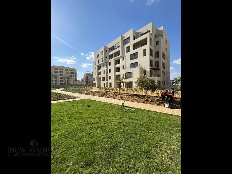 6 293d3fa1-3f83-42e8-a91d-708b2f8850a9. png