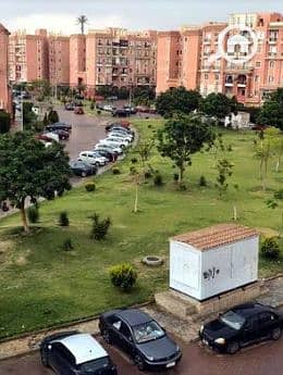 7 Screenshot_11. png