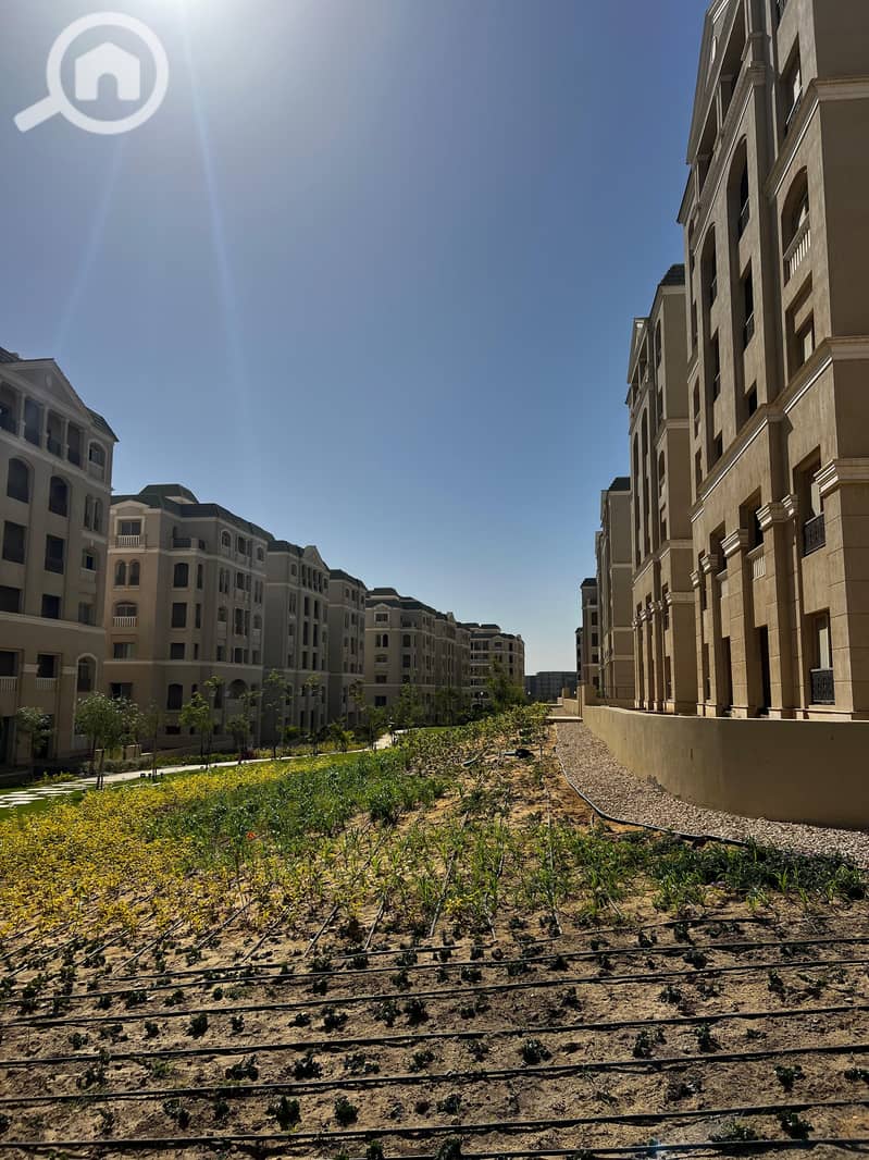 8 63e3b1f0-704e-4340-9eed-d5cec0c55d71. jpg