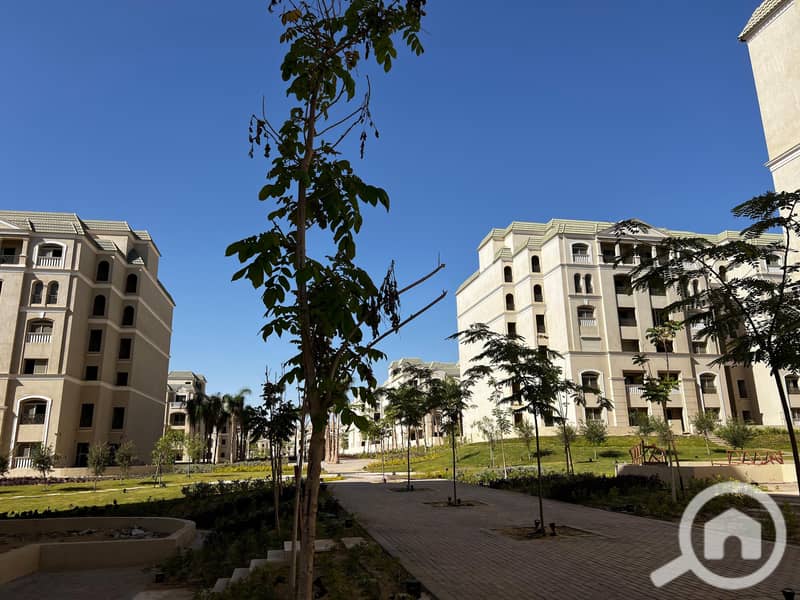 10 49f43ef5-c839-453e-9c6d-ff4d6d0eac47. jpg