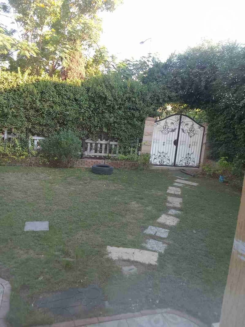 1000590622. jpg 1000590622. jpg