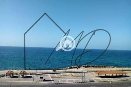 4 Bedroom Apartment for Rent in Cleopatra, Alexandria - WhatsApp Image 2025-10-30 at 6.36. 50 PM. jpeg